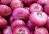 Govt scraps minimum export price for onions as prices crash